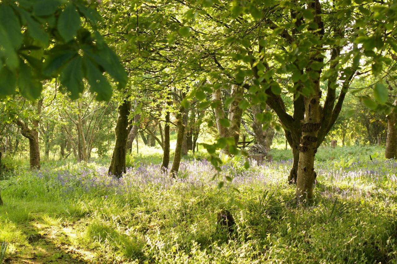 Holwell Holistic Retreat Bed & Breakfast Barnstaple Luaran gambar